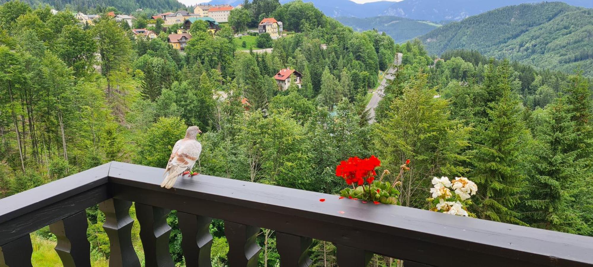 Kurhotel Renona Rehabilitation Semmering Bagian luar foto