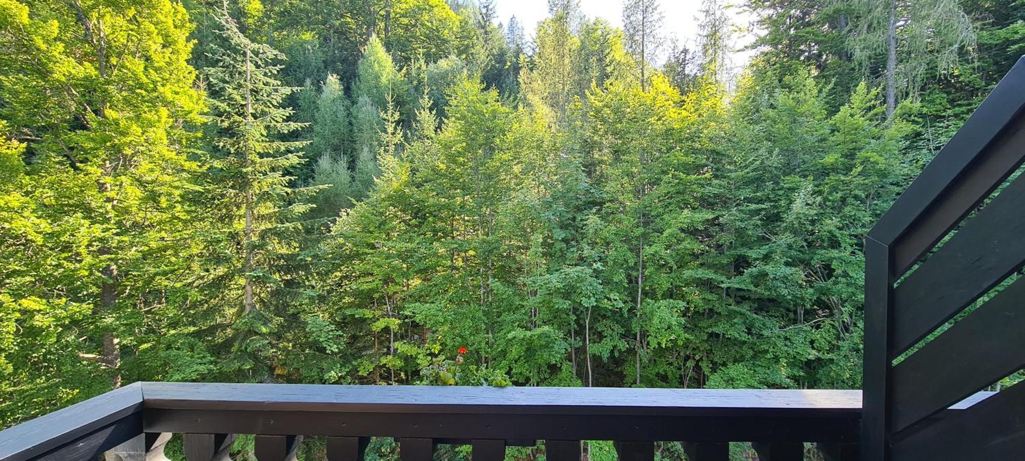 Kurhotel Renona Rehabilitation Semmering Bagian luar foto